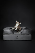 NOAH & PAW Dog Bed, 28x23x11 Inch, Orthopedic Dog Beds for Medium Size Pets, Eggshell Memory Foam Infused with Cooling Gel, Inner Cover, Waterproof, Machine Washable (Velvet Sofa Collection)