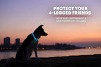 Illumiseen LED Dog Collar USB Rechargeable - Bright & High Visibility Lighted Glow Collar for Pet Night Walking - Weatherproof, in 6 Colors & 6 Sizes (Blue XX-Small)