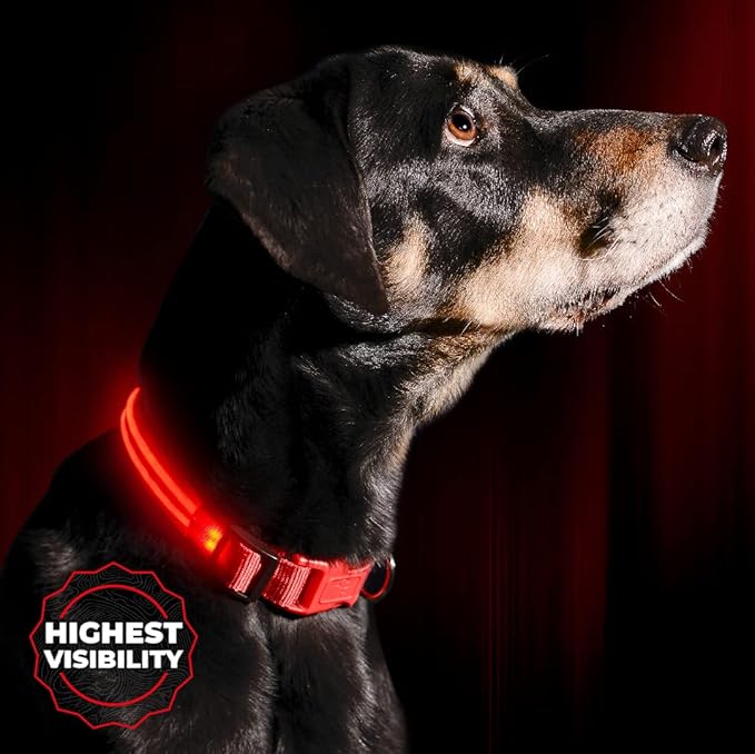 ILLUMISEEN LED Dog Collar USB Rechargeable - Bright & High Visibility Lighted Glow Collar for Pet Night Walking - Weatherproof, in 6 Colors & 6 Sizes (Red Small)