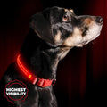 ILLUMISEEN LED Dog Collar USB Rechargeable - Bright & High Visibility Lighted Glow Collar for Pet Night Walking - Weatherproof, in 6 Colors & 6 Sizes (Red Small)