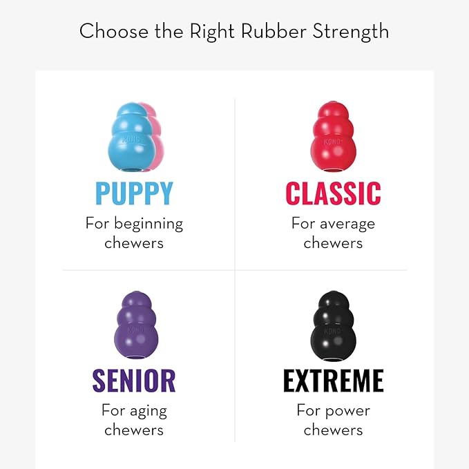 KONG - Puppy Toy Natural Teething Rubber - Fun to Chew, Chase and Fetch - for Medium Puppies - Pink
