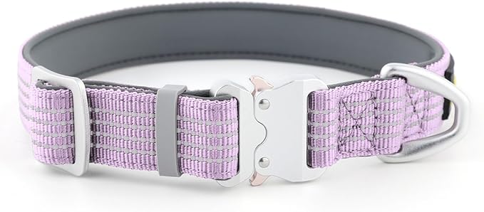 Plutus Pet Reflective Dog Collar with Aviation Aluminum Buckle, Neoprene Padded for Comfort, Lightweight, Heavy Duty Nylon Collar for Puppy Small Medium Large Dogs (Lilac Purple, S)