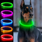 Light Up Dog Collar, Dlitk Rechargeable Cuttable LED Dog Collars, Pet Safety Light at Night Walking for Small Medium Large Dogs, Do Not Use Fast Charging (Green)