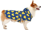 Dog Raincoat for Medium Dogs Waterproof Hooded Rain Jacket with Reflective Strips Leash Hole & Poncho Adjustable Fit (Duck,M)