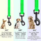 Dogline Biothane Waterproof Dog Leash Strong Coated Nylon Webbing with Black Hardware Odor-Proof Easy to Clean High Performance for Small or Large Dogs Made in USA 4 or 6 ft Lead, Tropical Green