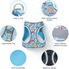 Step in Dog Harness and Leash Set, Flower Adjustable Easy Walk Puppy Harnesses, Soft Mesh Pet Vest Harness Small Size Dog Adjustable No Pull Dog Harness for Small Medium Dogs(Dinosaur1, M)