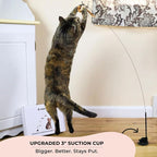 Whiskertons Interactive Bird Simulation Cat Toy Set, Interactive Cat Toys for Indoor Cats, Cat Feather Toy, Self-Holding Suction Base, 5 Replacement Birds, Feathers & Bells, Realistic Bird Impression