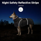 Dog Winter Coat for Small to Large Dogs(XS-XXXL)– Waterproof Windproof Fleece Lined Jacket with Reflective Trim,Pet Vest with Adjustable Buckles, Machine Washable Grey XL