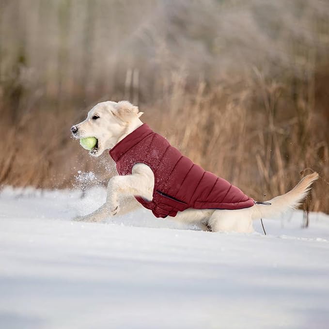 Lelepet Reversible Dog Coat Waterproof Dog Jacket Windproof Puffer Vest for Winter Warm Lightweight Coats for Small Dogs Adjustbale Hook & Loop Pet Apparel with Leash Hole, Pug, Wine Red, M
