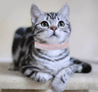 THAIN Rhinestones Cat Dog Collar Soft Velvet Safe Adjustable Collar Bling Diamante with Bells, 8-11 inch for Small Dogs and Cats (Pink+Black)
