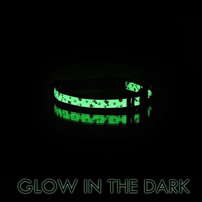 Pawtitas Pet Glow In The Dark Cat Collar with Safety Buckle and Bell Green Hook