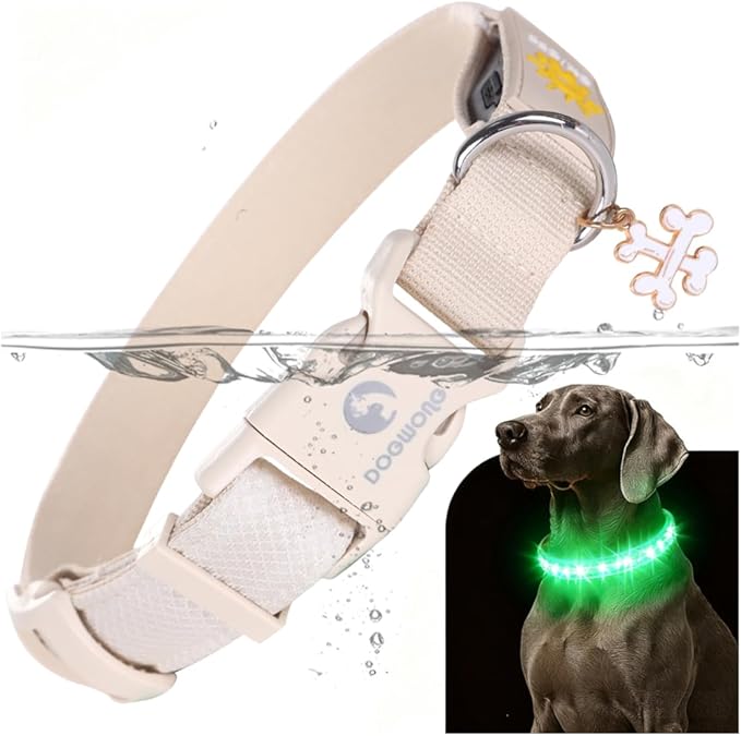 DOGWONG LED Dog Collar - Heavy Duty Light up Collars - Rechargeable Waterproof - Lighted Dog Collar for Night Walking, Hiking, Camping(White,S)
