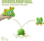 Plush Squeaky Dog Toy Ball, Dental Care, Skin-Friendly and Soft and Relieve Stress,Dog Training Interactive Pet Cute Plush Fashionable Toy Ball (Green,Small)