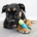 KONG CoreStrength Bone - Dog Dental Chew Toy - Durable, Multi-Layered Dog Toy for Enrichment Play & Dental Care - with Textured Body for Teeth Cleaning - for Medium/Large Dogs