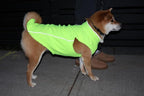 JACKO & CO - Fleece Vest Dog Sweater with Leash Ring - Soft, Warm & Lightweight Pullover Coat for Small & Medium Dogs, Puppies & Cats - Cozy Fall/Winter/Spring Pet Jacket (Lime Green, XXL 25-35lbs)
