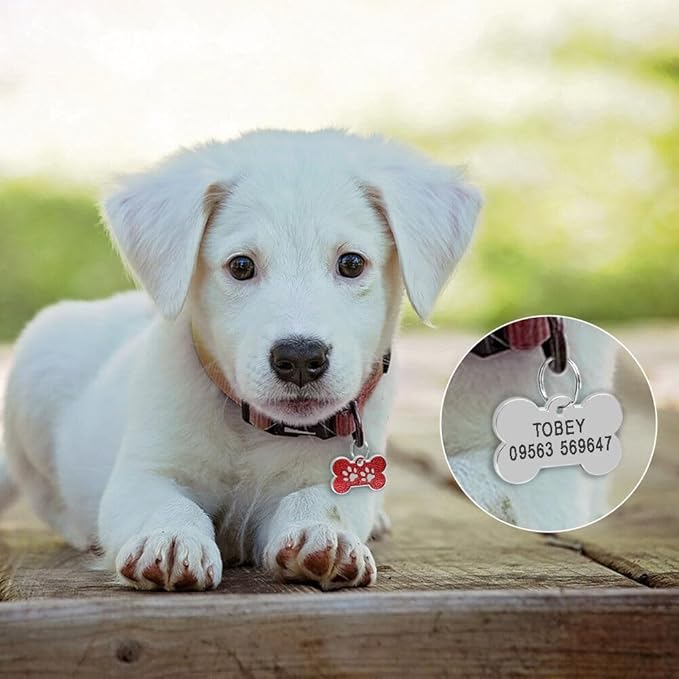 Personalized Dog Cute Paw Pet ID Tag for Pet Collar or Key Chain - Dog Name tag, cat Tags Personalized, cat id tag, Kitten Name tag, Kitten id tag (Bone-Shaped-Small: Rose Red)