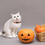 PUPTECK Halloween Cat Collar with Bell 6 Packs Breakaway - Soft Adjustable Kitten Kitty Collars for Small Pet Puppy Bunny with Safety Release Buckle