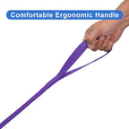 Pawtitas 6 FT Solid Color Leash for Puppy - Comfortable Handle Dog Training Leash - Extra Small/Small - Purple