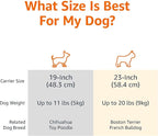 Amazon Basics 2-Door Top-Load Hard-Sided Dogs, Cats Pet Travel Carrier, Gray & Blue, 22.8"L x 15.0"W x 13.0"H