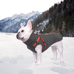 Geyecete Winter Warm Coat Waterproof Dog Winter Jacket with Harness Traction Belt,Windproof Pet Outdoor Jacket Dog Autumn-Gray-M