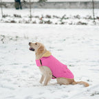 Winter Coat for Small and Medium Dogs, Puppy Plaid Jacket, Cotton Coat for Cold Weather, Windproof Warm Dog Garments, Pet Thickened Outfits Indoor Outdoor, Pink XS