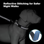 Plutus Pet Reflective Dog Collar with Aviation Aluminum Buckle, Neoprene Padded for Comfort, Lightweight, Heavy Duty Nylon Collar for Puppy Small Medium Large Dogs (Blue, S)