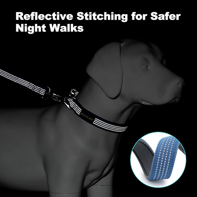 Plutus Pet Reflective Dog Collar with Aviation Aluminum Buckle, Neoprene Padded for Comfort, Lightweight, Heavy Duty Nylon Collar for Puppy Small Medium Large Dogs (Blue, S)