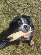 Dingo Gear Tug Toy for Dog Training Agility Tug of War, Jute Dog Bumper with one Handle, Dog Bite Pillow for Aggressive Chewers, 6" S00143