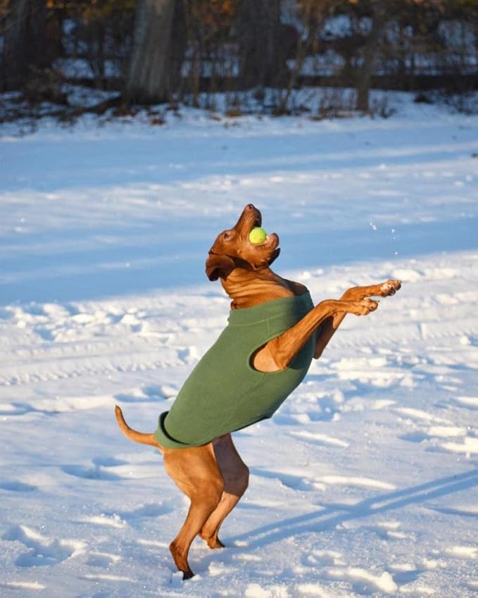 Gooby Stretch Fleece Vest Dog Sweater - Pumpkin, 4X-Large - Warm Pullover Super Stretchy Fleece Dog Jacket for Small to Large Dogs