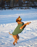 Gooby - Stretch Fleece Vest, Pullover Fleece Vest Jacket Sweater for Dogs, Pumpkin, 3X-Large