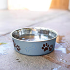 Loving Pets Bella Dog Bowls- Stainless Steel Dog & Cat Bowls - Spill Proof Dog Food Bowl, Cat Bowl, Puppy Essentials & Pet Supplies Great for Home & Travel (X-Large 65-100lbs, Blueberry)