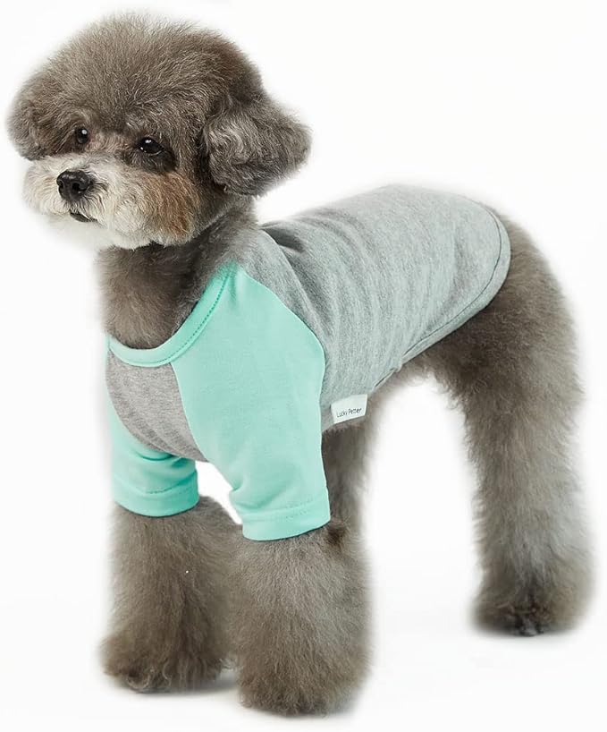Dog Shirt for Small and Large Dogs, Cotton T-Shirt, Gray/Mint, Large