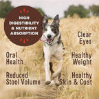 Primal Freeze Dried Raw Dog Food Nuggets, Lamb, Complete & Balanced Meal, Also Use as Topper or Treat, Premium, Healthy, Grain Free, High Protein Raw Dog Food, 5.5 oz
