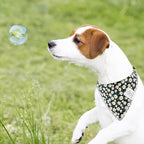 E-Clover Dog Bandanas & Matching Scrunchie Set Girl Dog Scarf Bibs with Bow Scrunchie for Medium Large Dogs Pet Owner Gifts Flower Black