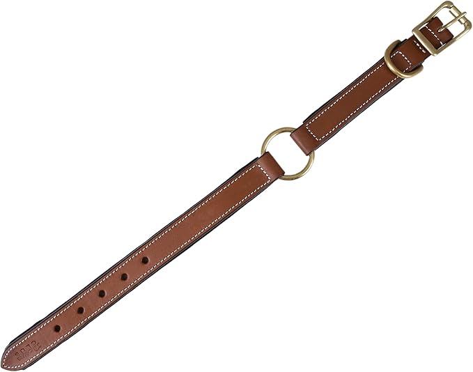 | Genuine Leather Adventure Dog Collar | Full Grain, Heavy Duty | With inner Cushioned padding | Best for Medium, Large & XL Dogs (Large (Fit Neck Size 18.5"-22.5"), Brown With Center O Ring)