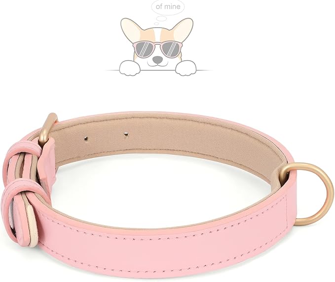 WHIPPY Airtag Leather Dog Collar GPS Tracker Air Tag Puppy Collar Adjustable Soft Leather Padded Dog Collar with Airtag Holder Case for Small Medium Large Dog Pet Backpack,Pink,XS