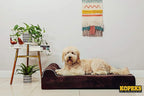 KOPEKS Orthopedic Memory Foam Dog Bed 7" Inch Thick Extra Large Dog Bed With Pillow Brown 50"x34"x10" Includes Waterproof Liner & Durable Removable Cover With Smart Design