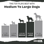Barkbox Potato 2-in-1 Dog Toy - Tough Plush Squeaky Chew Toy for Large Dogs | Large