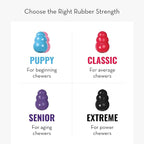 KONG Extreme Dog Toy - Fetch & Chew Toy - Treat-Filling Capabilities & Erratic Bounce for Extended Play Time Most Durable Natural Rubber Material - for Power Chewers - for X-Large Dogs (Pack of 2)
