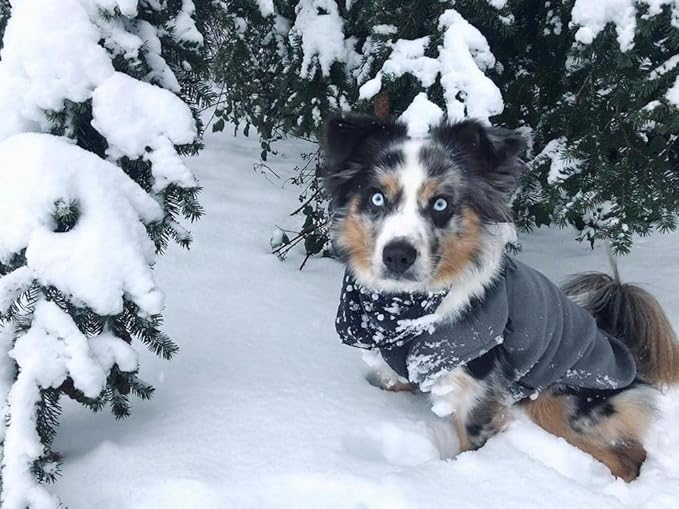 Gooby - Stretch Fleece Vest, Pullover Fleece Vest Jacket Sweater for Dogs, Gray, X-Large Length (16")