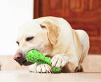 Dog Toy, Toothbrush Dogs Chew Squeaky Toys, Durable Bones for Aggressive Chewers, Dental Oral Care for Small, Medium and Large Dogs - Green