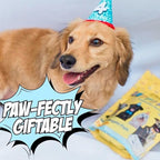 Chippin Dog Birthday Soft Treat, Great Gift, Wild-Caught Fish, Pumpkin Jerky for Dogs, No Chicken, Grain-Free, Hypoallergenic | Made in USA