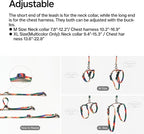 pidan Cat Harness and Leash Set, Cats Escape Proof - Adjustable Kitten Harness for Large Small Cats, Lightweight Soft Walking Travel Petsafe Harness（(Multicolor-M Size）