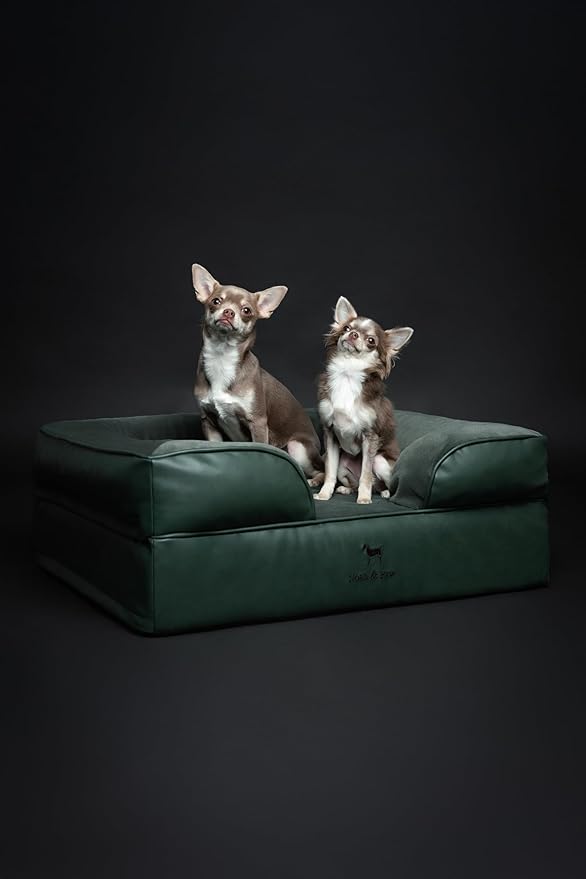 NOAH & PAW Dog Bed, 28x23x11 Inch, Orthopedic Dog Beds for Medium Size Pets, Eggshell Memory Foam Infused with Cooling Gel, Inner Cover, Waterproof, Machine Washable (Faux Leather Sofa Collection)