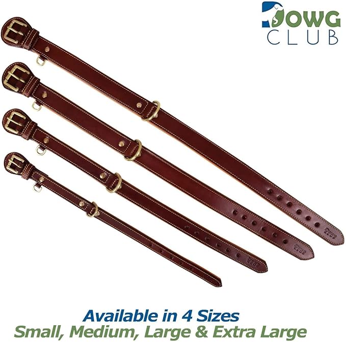 Genuine Leather Dog Collar | Padded, Full Grain, Heavy Duty, Comfortable, Strong | Best for Pups, Small, Medium, Large & XL Breeds (Small (Fit Neck Size 11.5"-14.5"), Dark Brown)