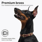 Classic Genuine Leather Dog Collar | Dog Collars for Medium Dogs, Small Dogs, Large Dogs & Extra Large Dog | Wide Dog Collar | Heavy Duty Dog Collar | Dark Brown (XS: 0.5" Wide for 7.5"-10.5" Neck)