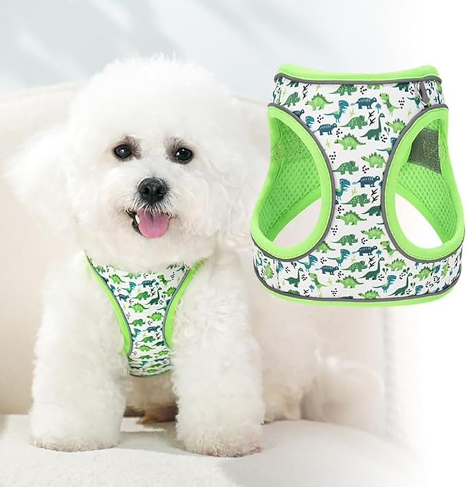 Step in Dog Harness and Leash Set, Flower Adjustable Easy Walk Puppy Harnesses, Soft Mesh Pet Vest Harness Small Size Dog Adjustable No Pull Dog Harness for Small Medium Dogs(Dinosaur1, M)