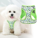Step in Dog Harness and Leash Set, Flower Adjustable Easy Walk Puppy Harnesses, Soft Mesh Pet Vest Harness Small Size Dog Adjustable No Pull Dog Harness for Small Medium Dogs(Dinosaur1, M)