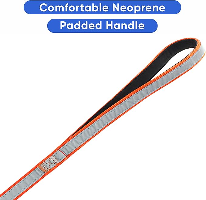 Pawtitas Personalized Dog Leash - Embroidered Customize Your Pet's Name & Phone Number - Reflective 6 ft Long Orange Leash