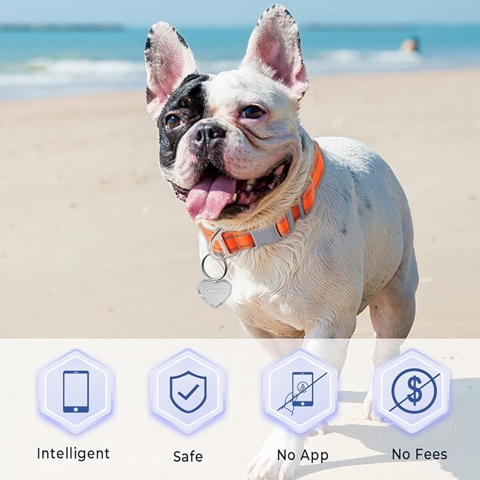Dog Tags Personalized for Pets,Dog Name Tags QR Code,No Subscription Fees,Modifiable Pet Online Profile,Stainless Steel,No App Required,for Dogs and Cats Small,Medium,Large(Heart,Regular)